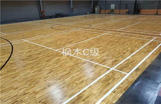 運動場館地板選擇指南 企口硬木地板與塑膠地板的對比與應用